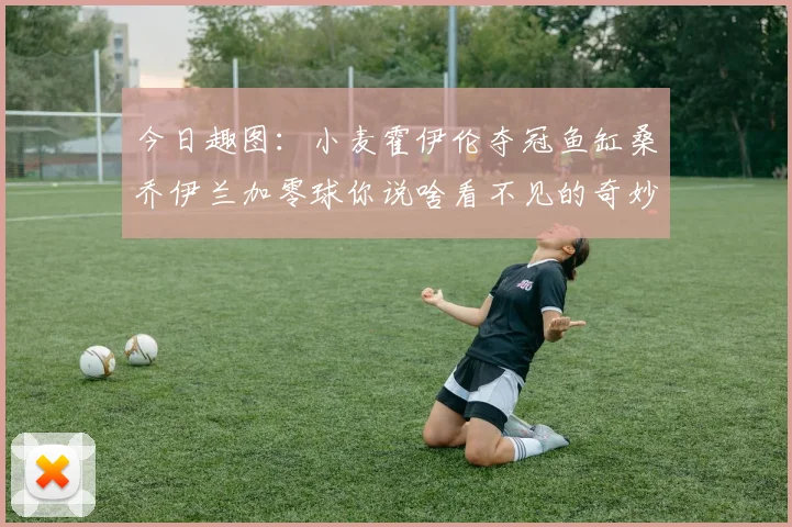 今日趣图：小麦霍伊伦夺冠鱼缸桑乔伊兰加零球你说啥看不见的奇妙瞬间