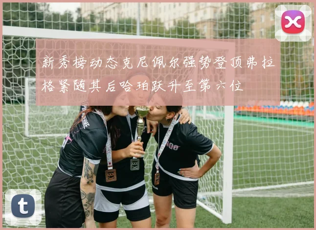 新秀榜动态克尼佩尔强势登顶弗拉格紧随其后哈珀跃升至第六位