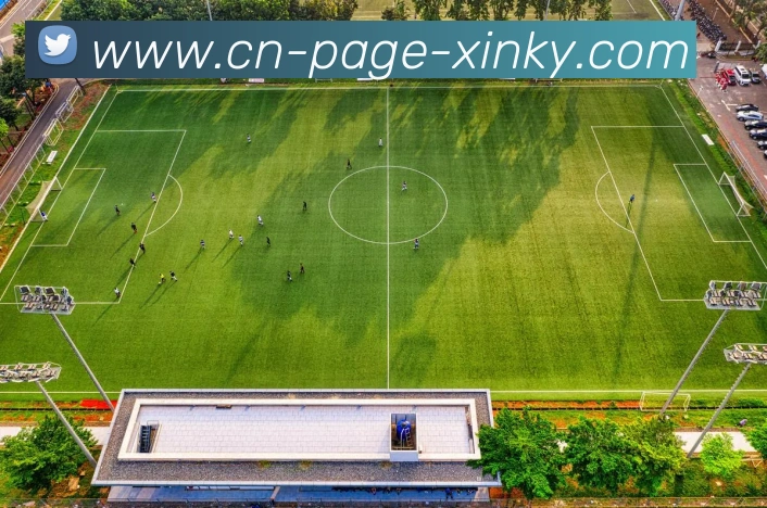 开云体育发展历程